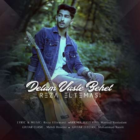 Reza Eltemasi – Delam Vasle Behet
